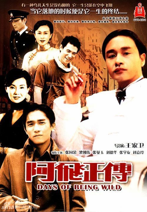 基督城理工学院学士成绩单